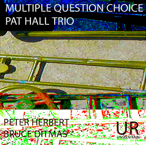 Multiple Question Choice